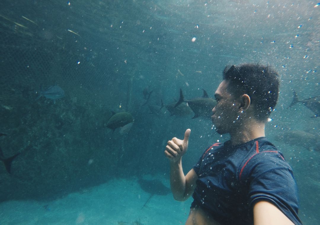 El hallazgo tiene sorprendidos a quienes están investigando.