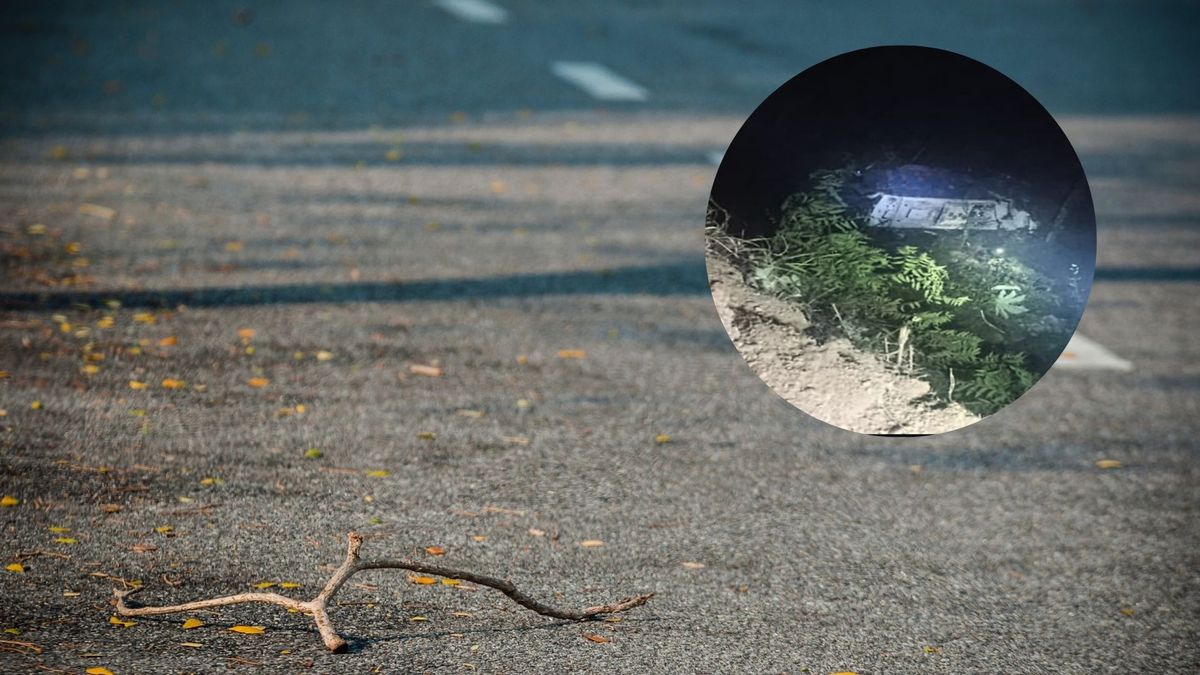 Las autoridades sanitarias y de tránsito se encuentran en el lugar realizando las evaluaciones de los lesionados y verificando si hay más personas al interior del bus o en inmediaciones de la zona del accidente.