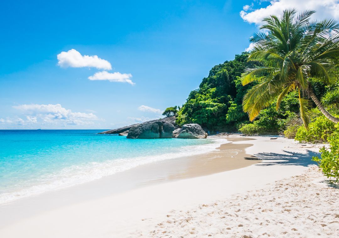 Desde Europa a América, pasando por América.