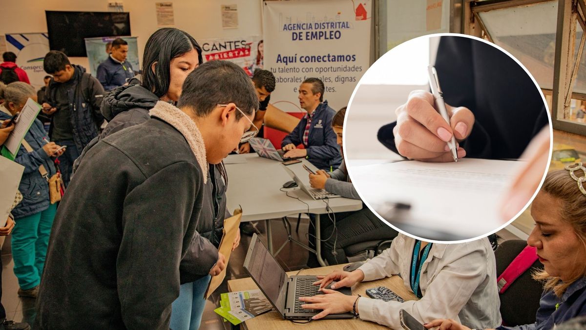 ofertas-de-empleo-como-puede-acceder-a-las-704-vacantes-de-empleo-que-ofrece-el-distrito