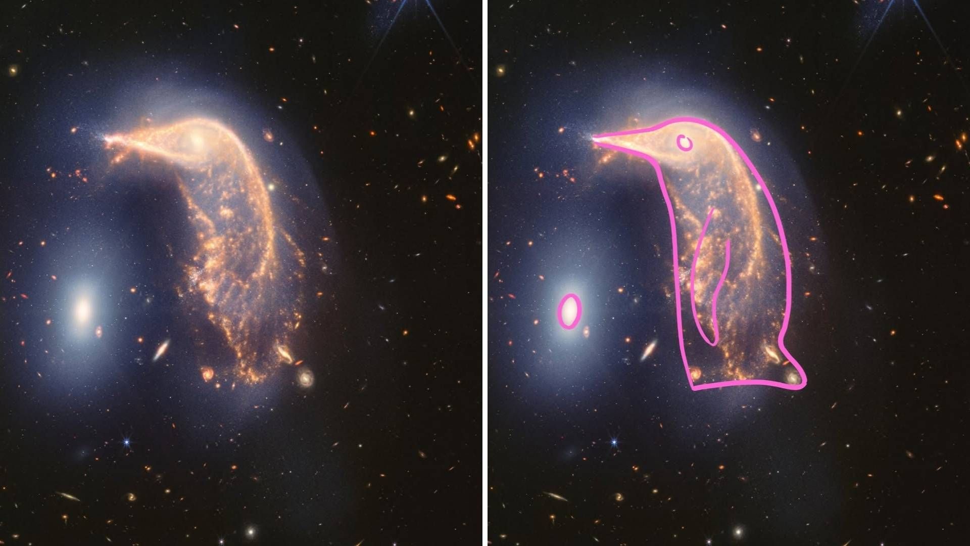 Webb revela nuevas estrellas y polvo en la interacción de las galaxias Arp 142.