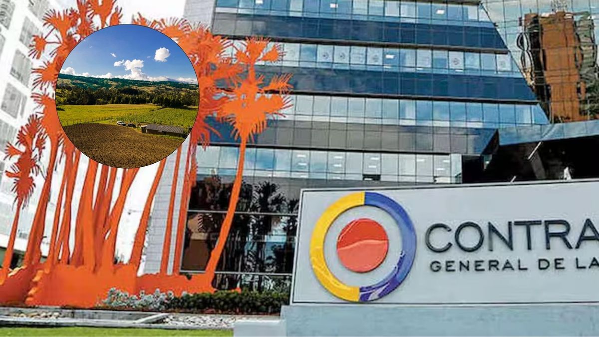 Algo que ha llamado mucho la atención es que, 18 meses después de hacerse el pago, la Hacienda Simba todavía no figura legalmente como propiedad del Estado.