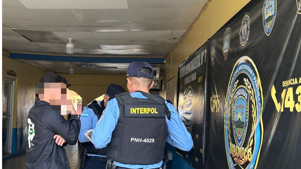 Operación Atenea contra el tráfico de pornografía infantil