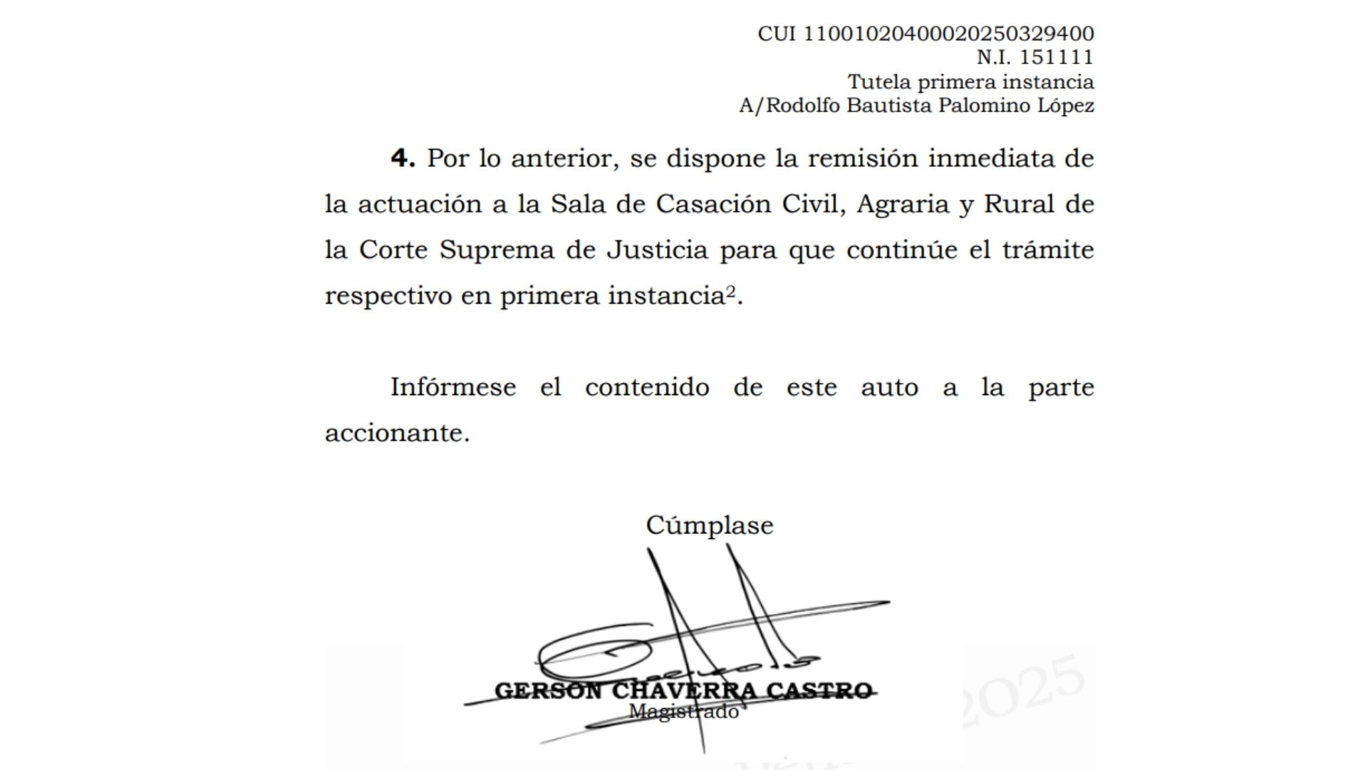 Auto de falta de competencia de la Sala Penal frente a la tutela de Rodolfo Palomino