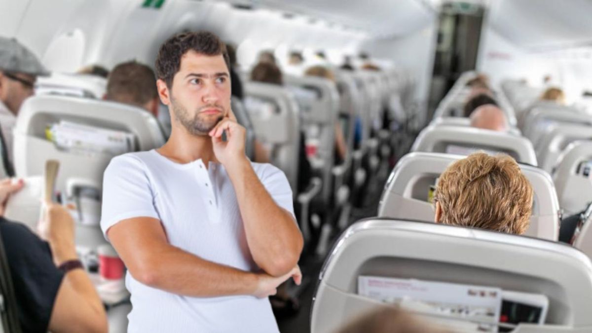 precios documentos y mascotas el abc del viaje aereo en colombia