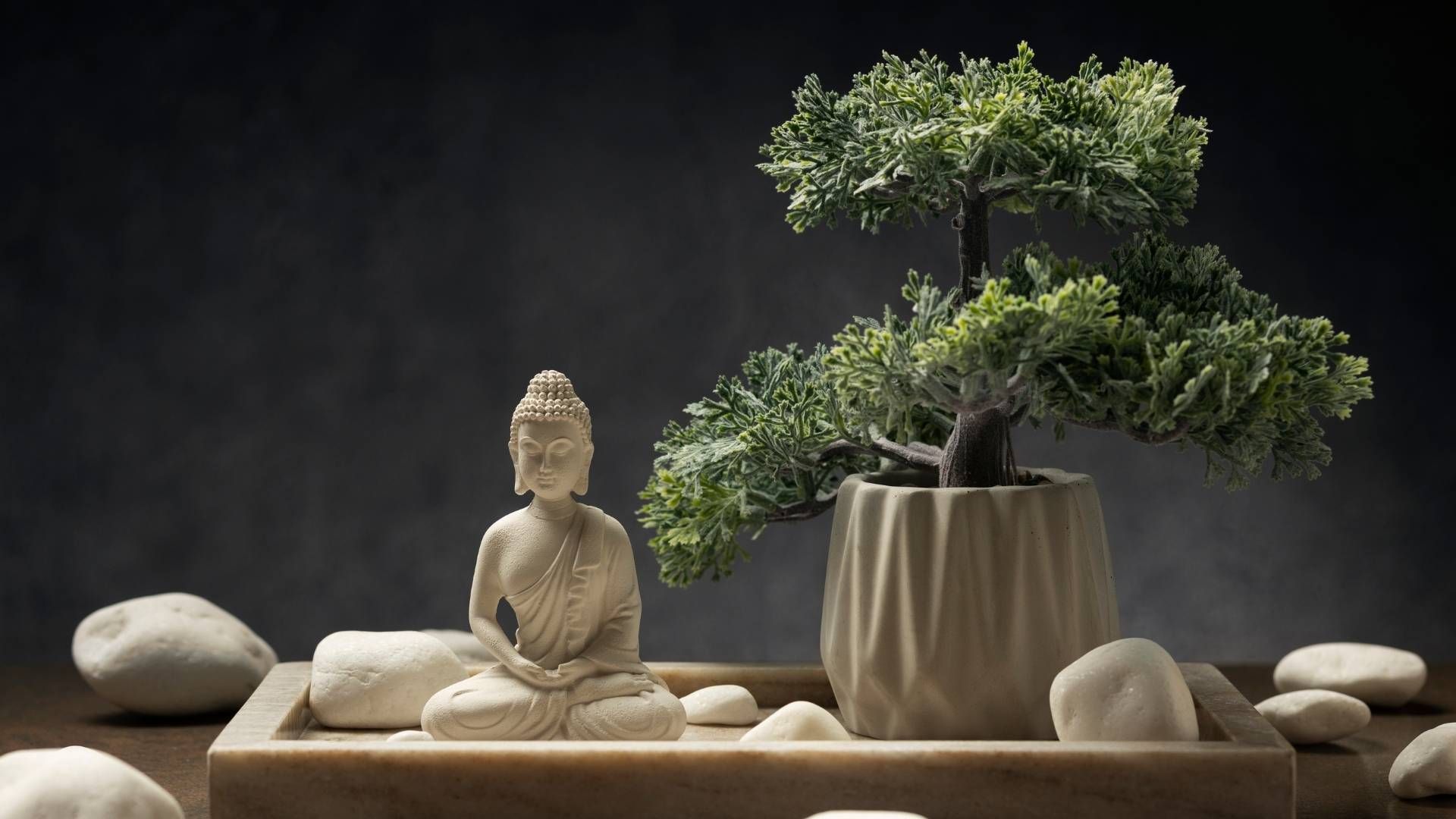 Rituales de feng shui buscan armonizar el hogar y facilitar el flujo del dinero en 2026.