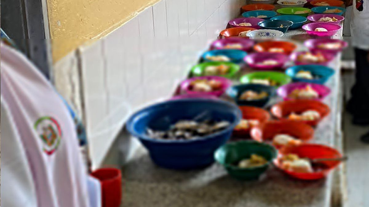 Programa de Alimentación Escolar (PAE)