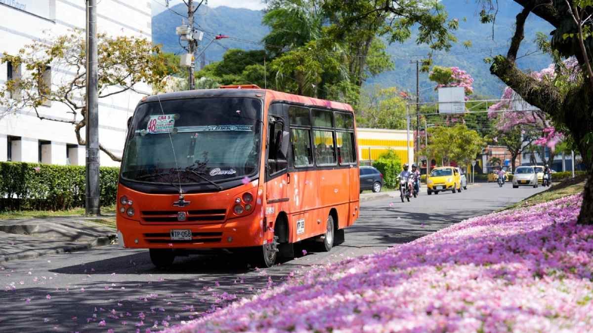 Buseta en Ibagué.