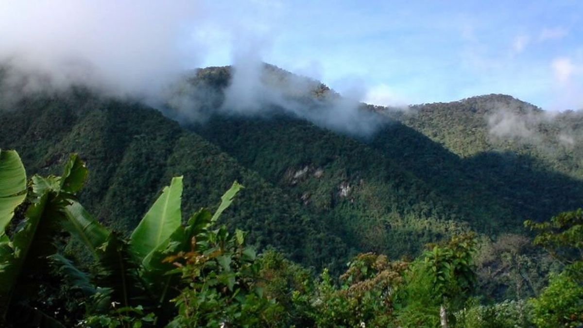 Farallones de Cali.