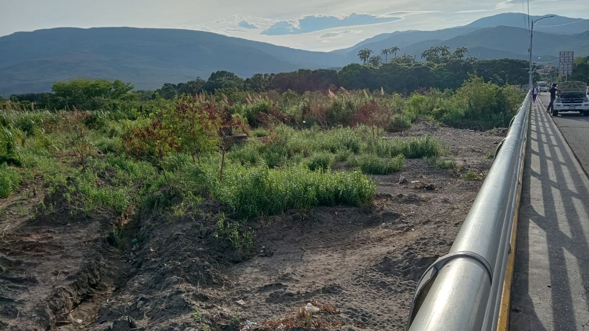 Zona boscosa en la frontera colombo-venezolana