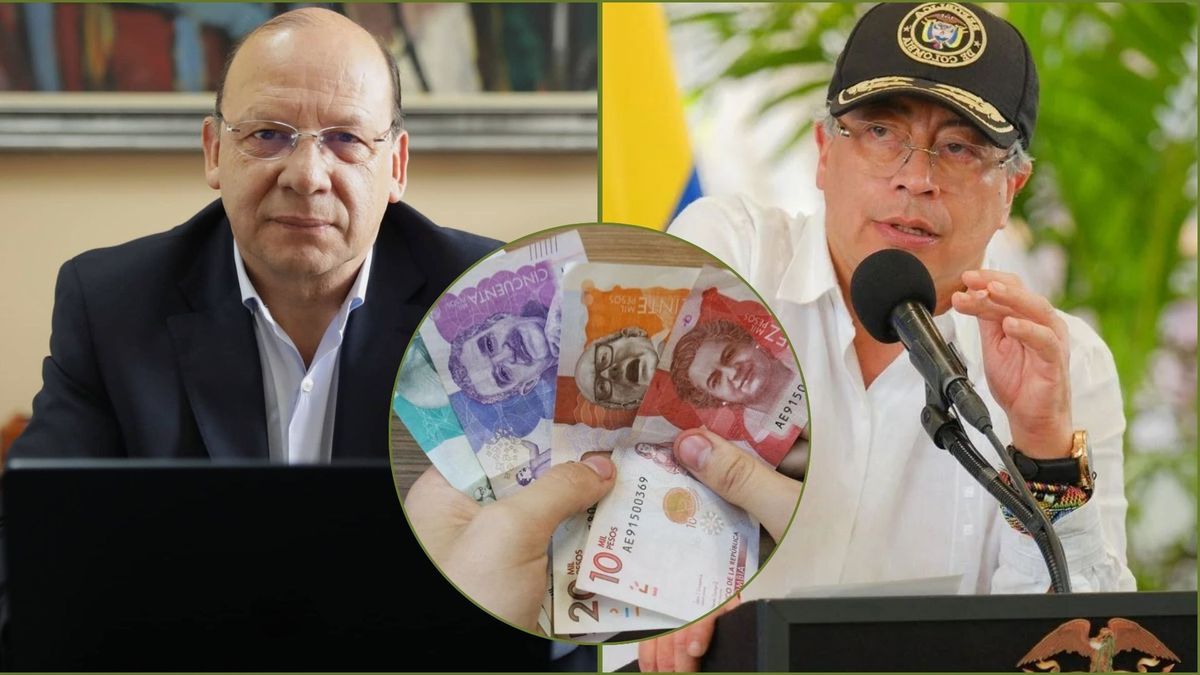 ex funcionaria gobierno petro renuncio por decisión sobre pensiones