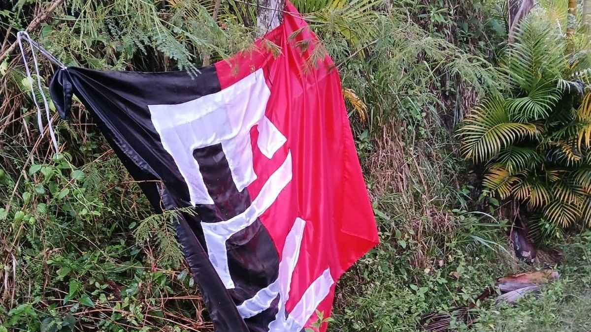 Bandera del ELN