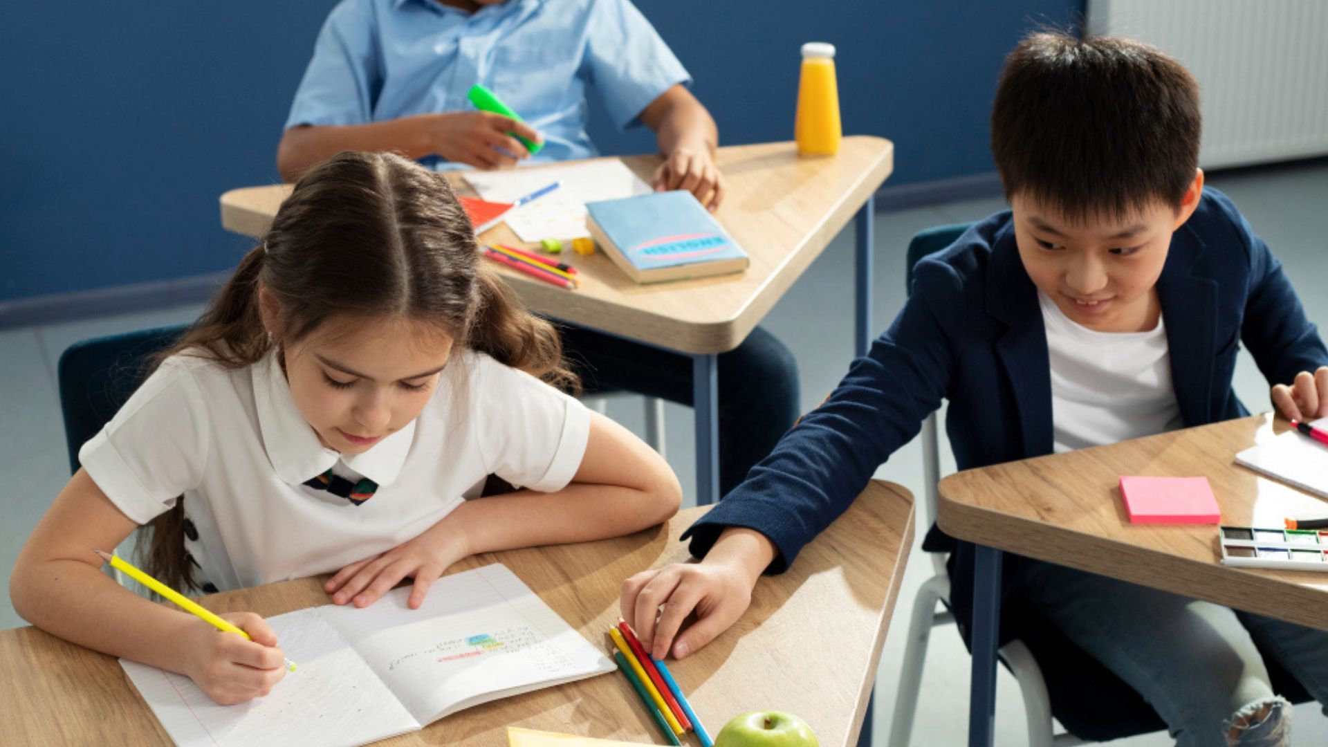 Los textos escolares deben mantenerse al menos tres años antes de ser cambiados.