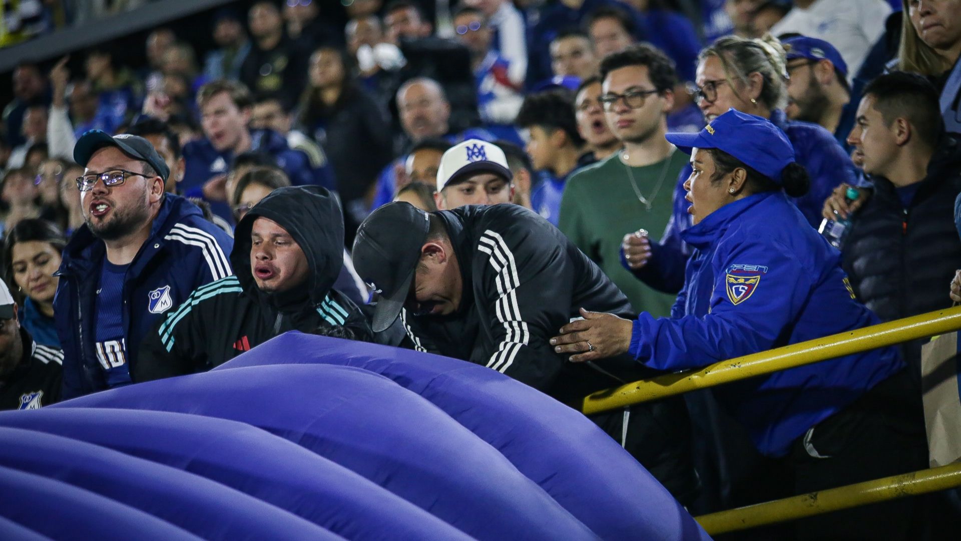 Hinchada de Millonarios