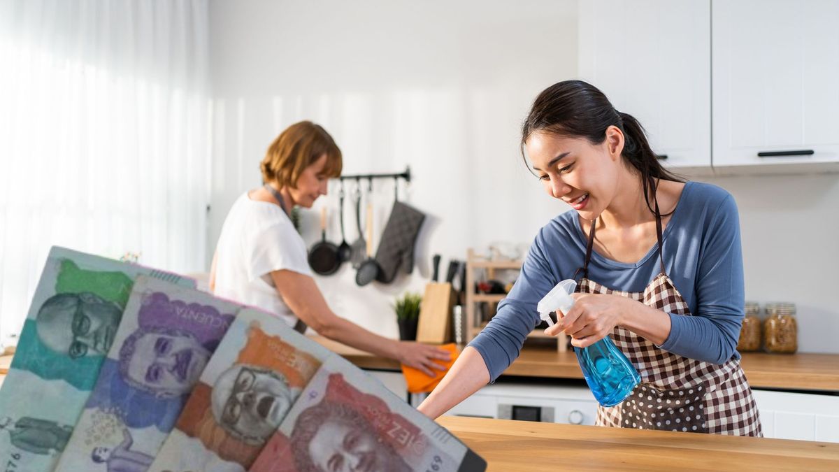 Empleadas domesticas 2026