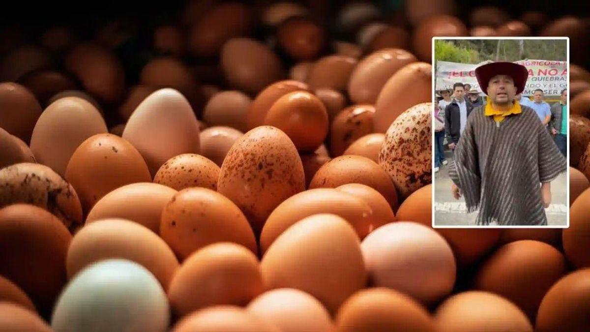 El sector avícola en Cundinamarca está atravesando una de sus peores crisis en años.