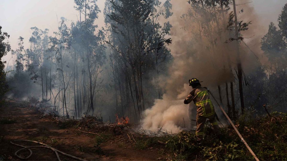 Las llamas se extendieron desde focos iniciales hasta zonas pobladas en Biobío y Maule, según el reporte desde el lugar.