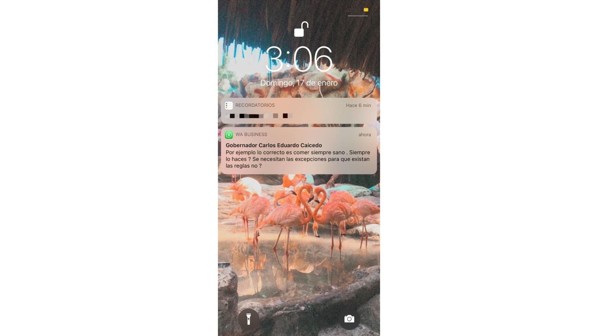 Chats de víctimas contra Caicedo y Fuerza Ciudadana