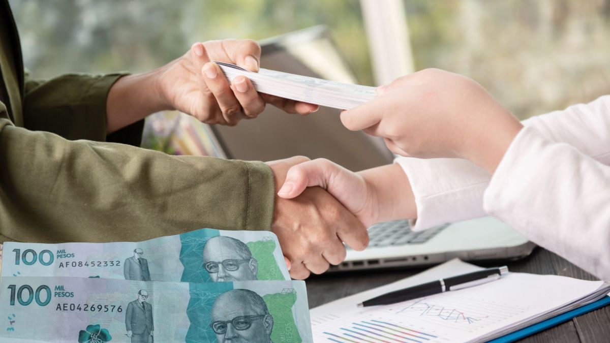 Con corte a noviembre de 2025, los datos mostraban diferencias claras entre los fondos, especialmente entre los portafolios de largo y corto plazo.