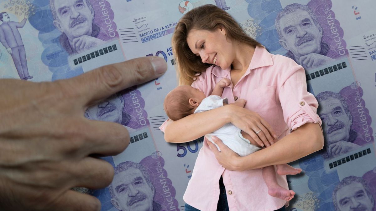 Cuota de alimentación