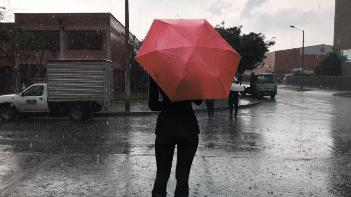 pronostico del tiempo en bogota alta probabilidad de lluvia durante la jornada