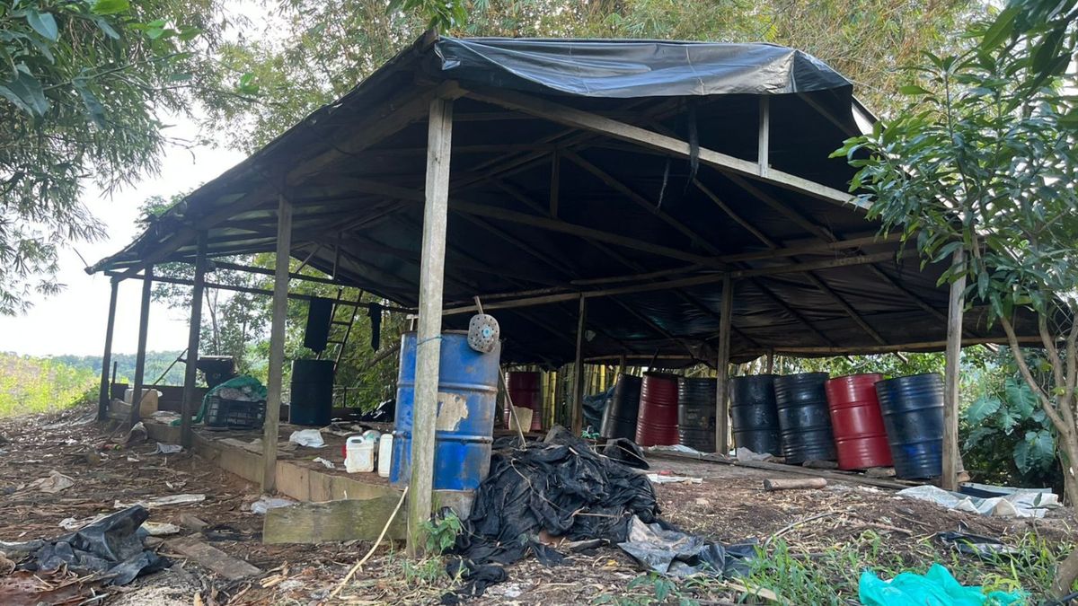 Complejo cocalero del ELN en Norte de Santander