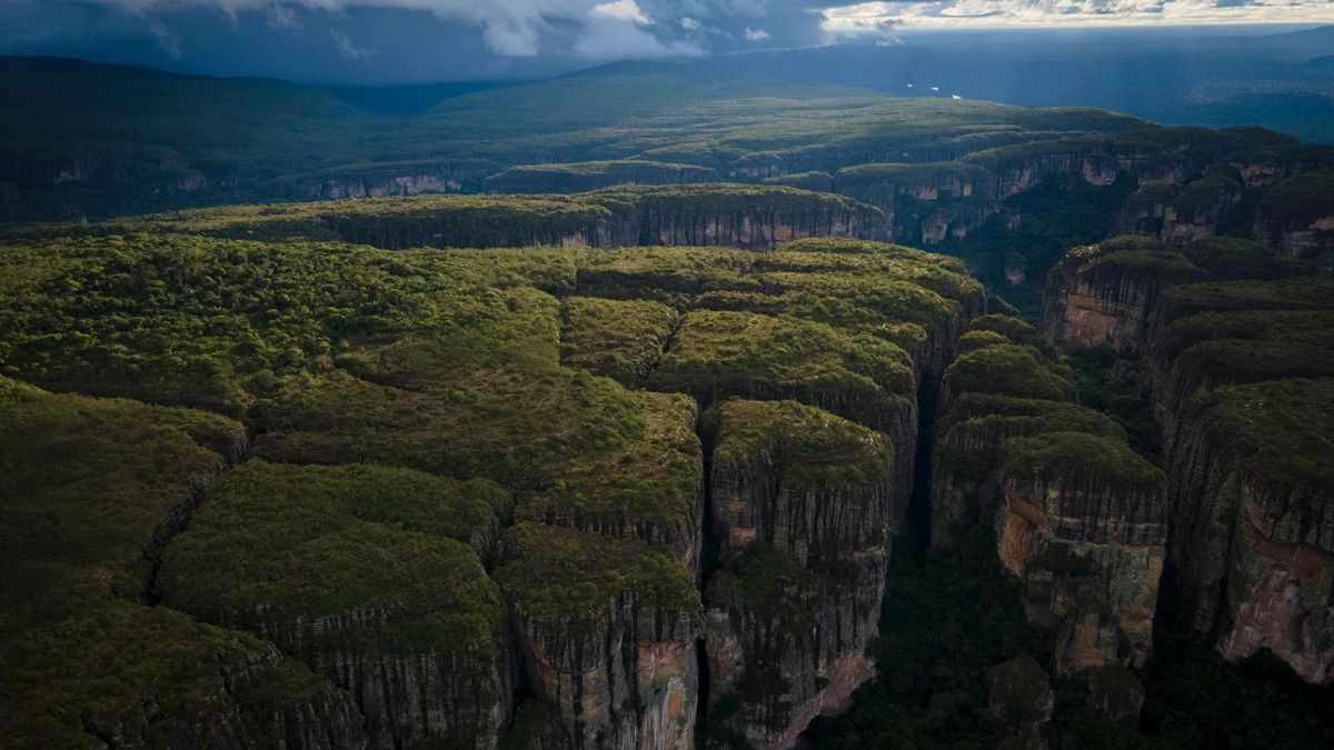 Chiribiquete recibirá millonaria inversión.