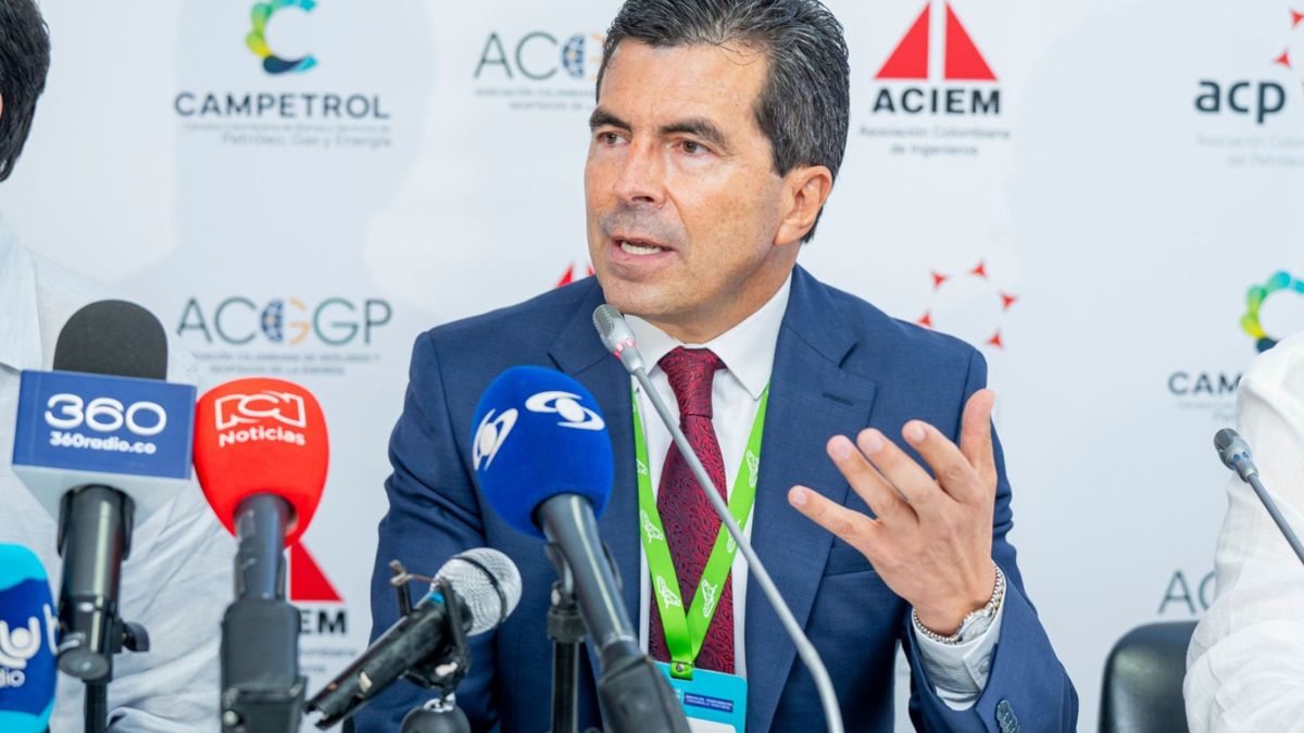 Presidente de la Agencia Nacional de Hidrocarburos (ANH), Orlando Velandia.