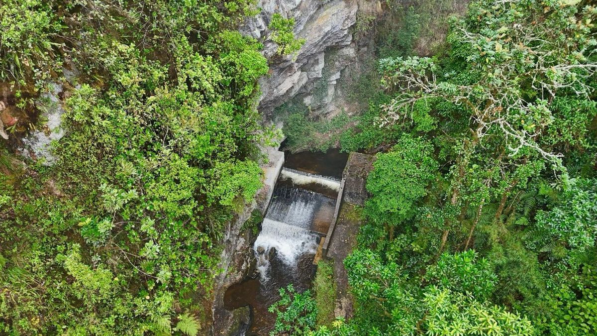 Parque Nacional Chingaza - Naturaleza.