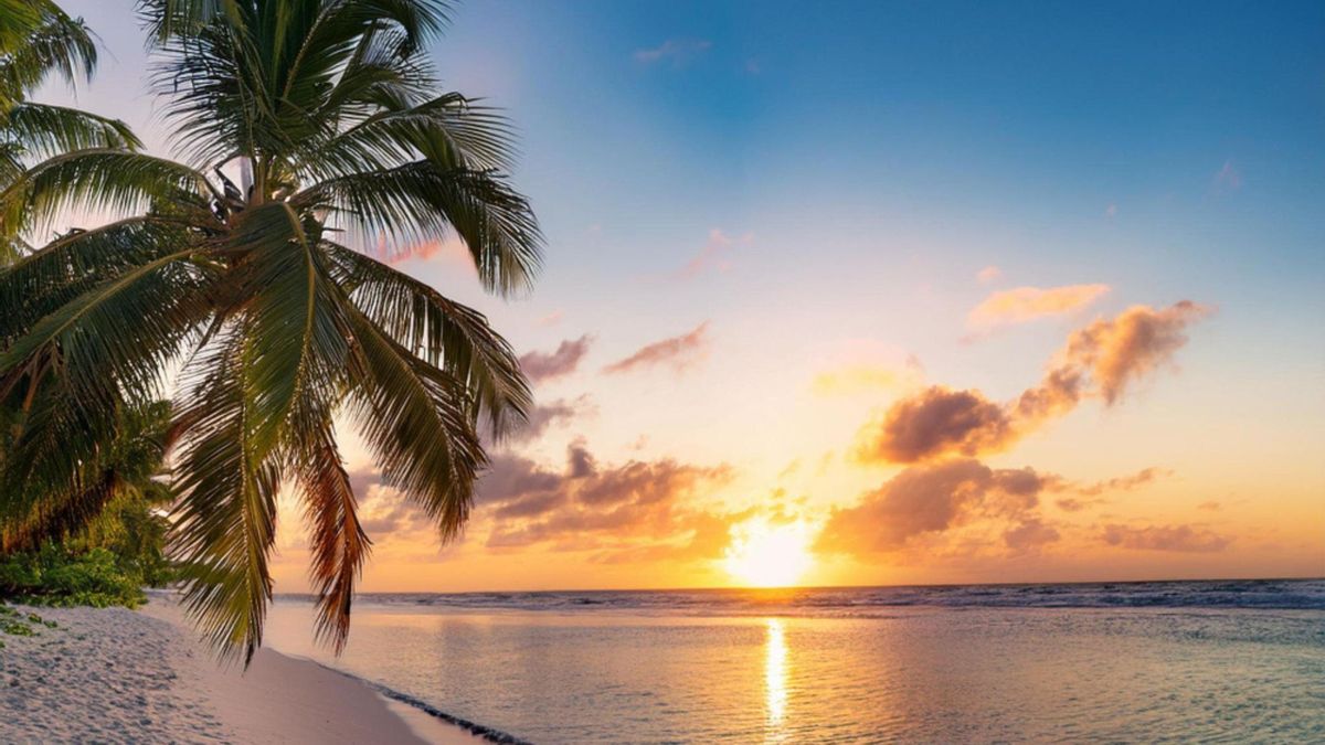 Para este ejercicio se tuvo en cuenta el valor del tiquete aéreo, el costo del hospedaje y el gasto promedio en alimentación.