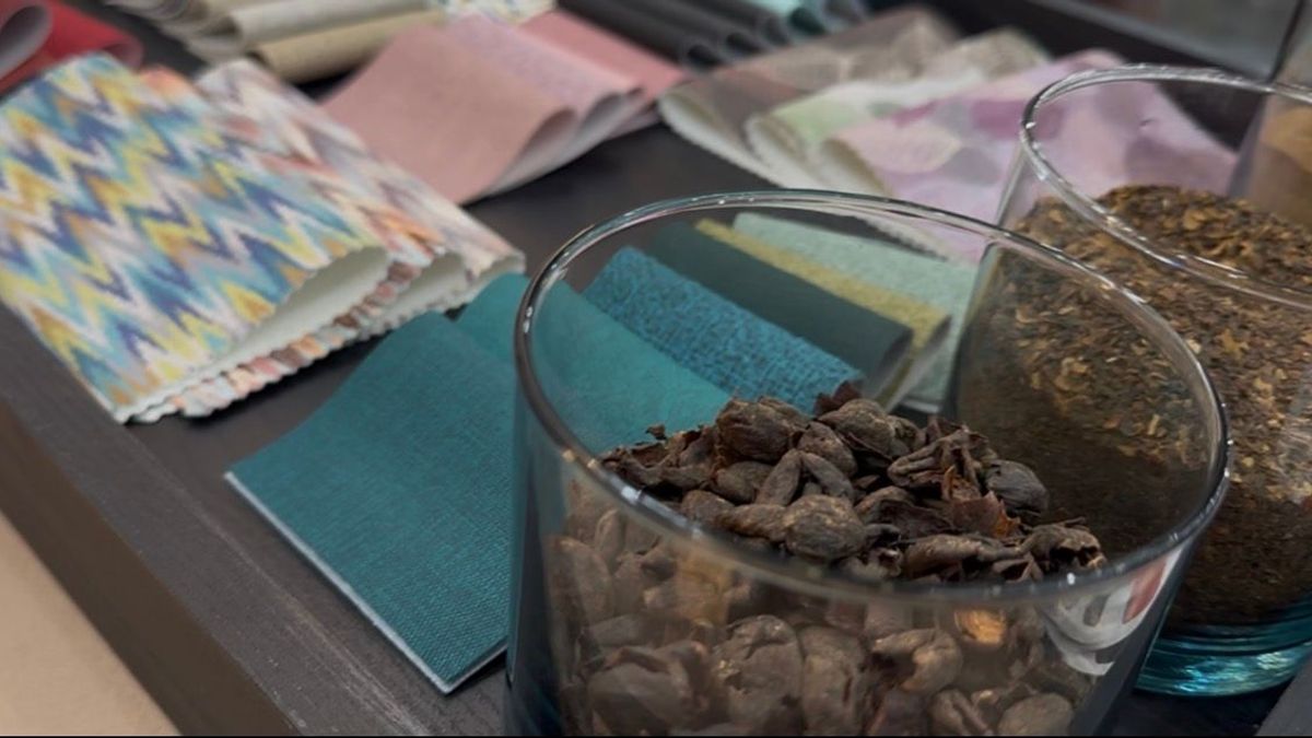 Piel de Café, proyecto de cuero vegano