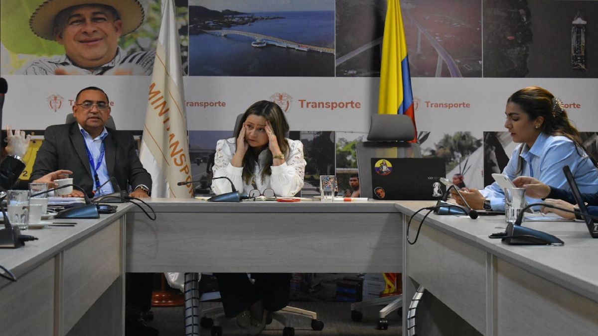 MinTransporte lidera reunión tras accidente aéreo.