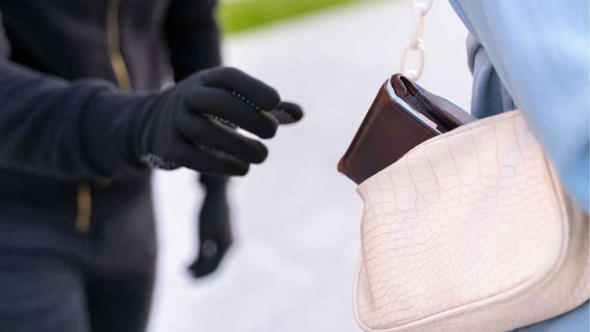 Referencia robos sin armas.