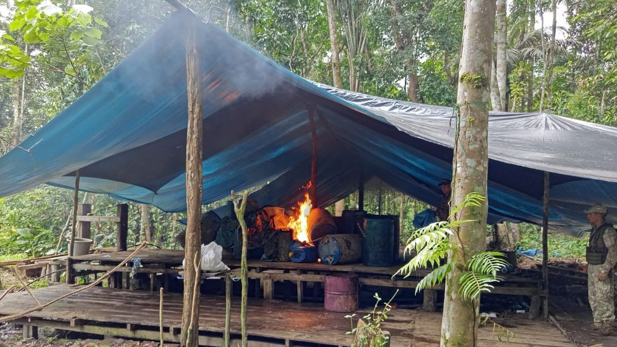 Laboratorios para la producción de droga destruidos en la frontera Colombia - Perú