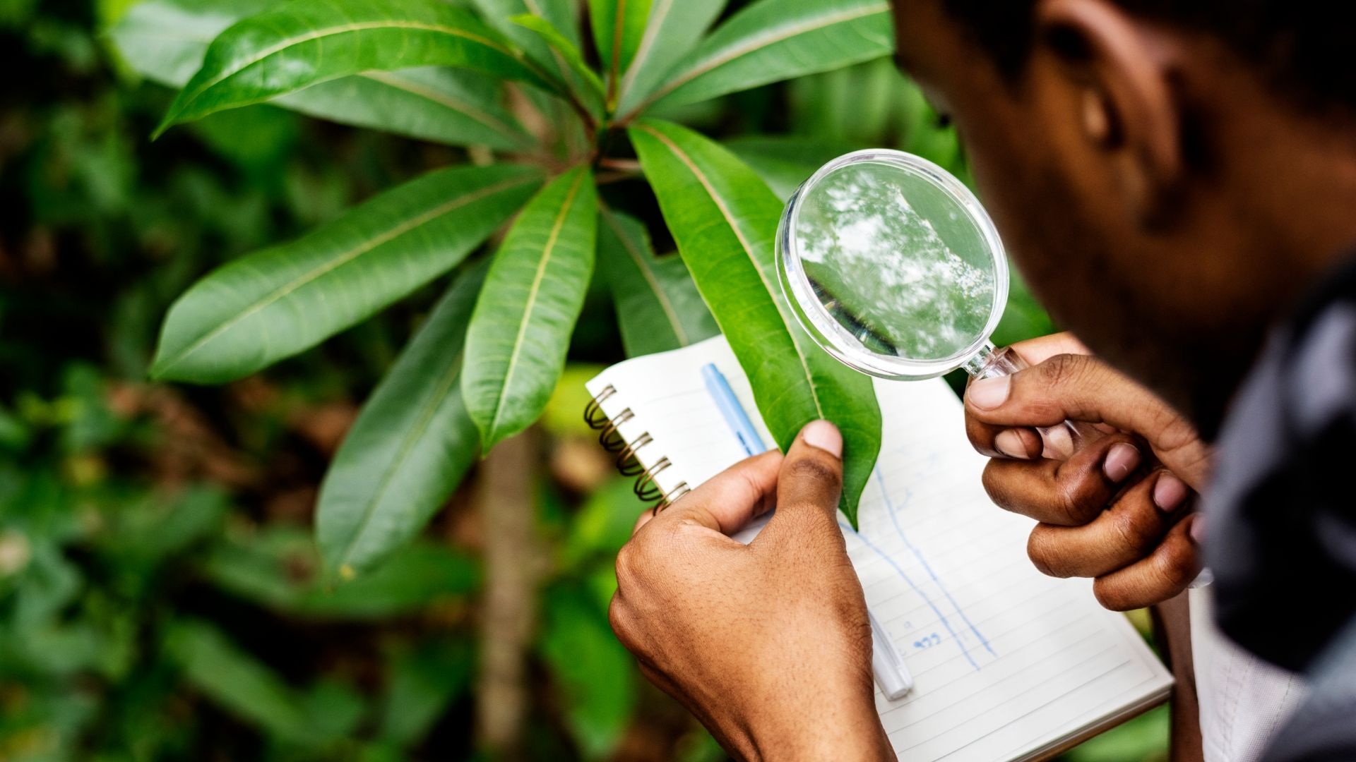 becas Fundación Alexander von Humboldt