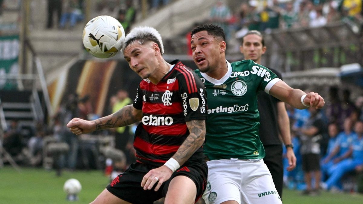 Flamengo Palmeiras