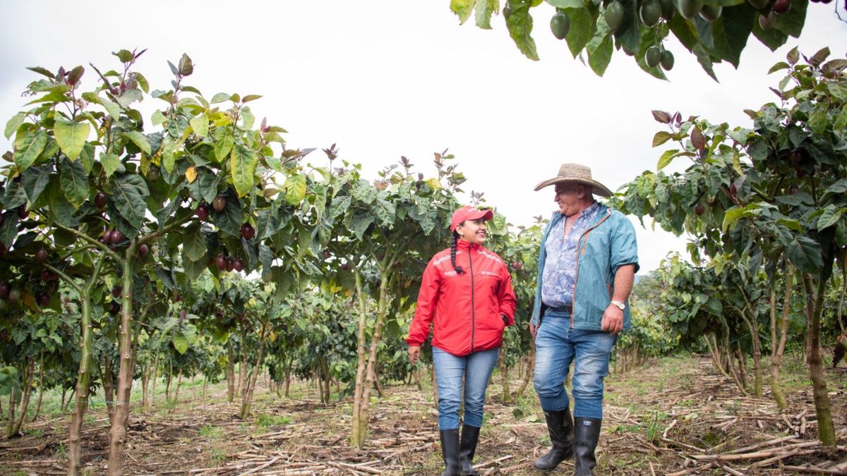 Contenido patrocinado. El cierre financiero de 2025 reflejó una utilidad de $81.282 millones.