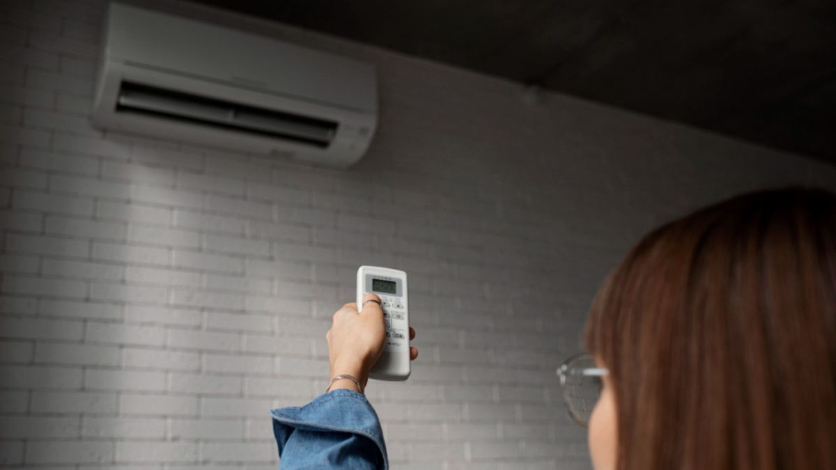 Los filtros del aire acondicionado concentran polvo y humedad, principales causantes del mal olor.