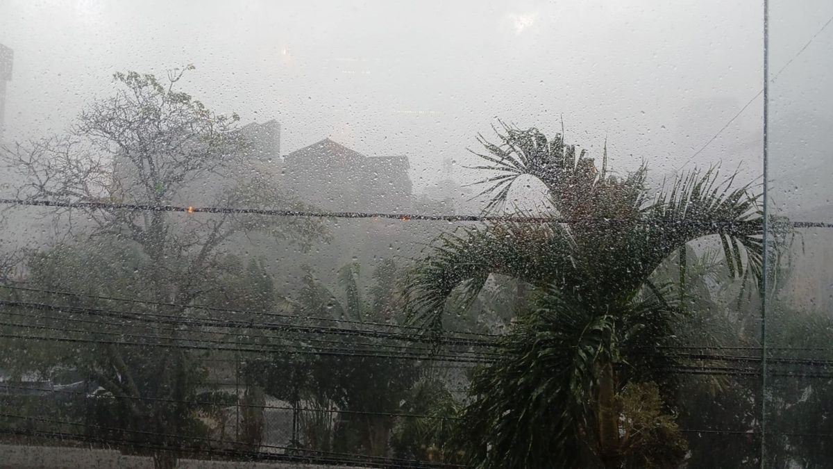 Inundaciones y caída de árboles en Bogotá por las lluvias.