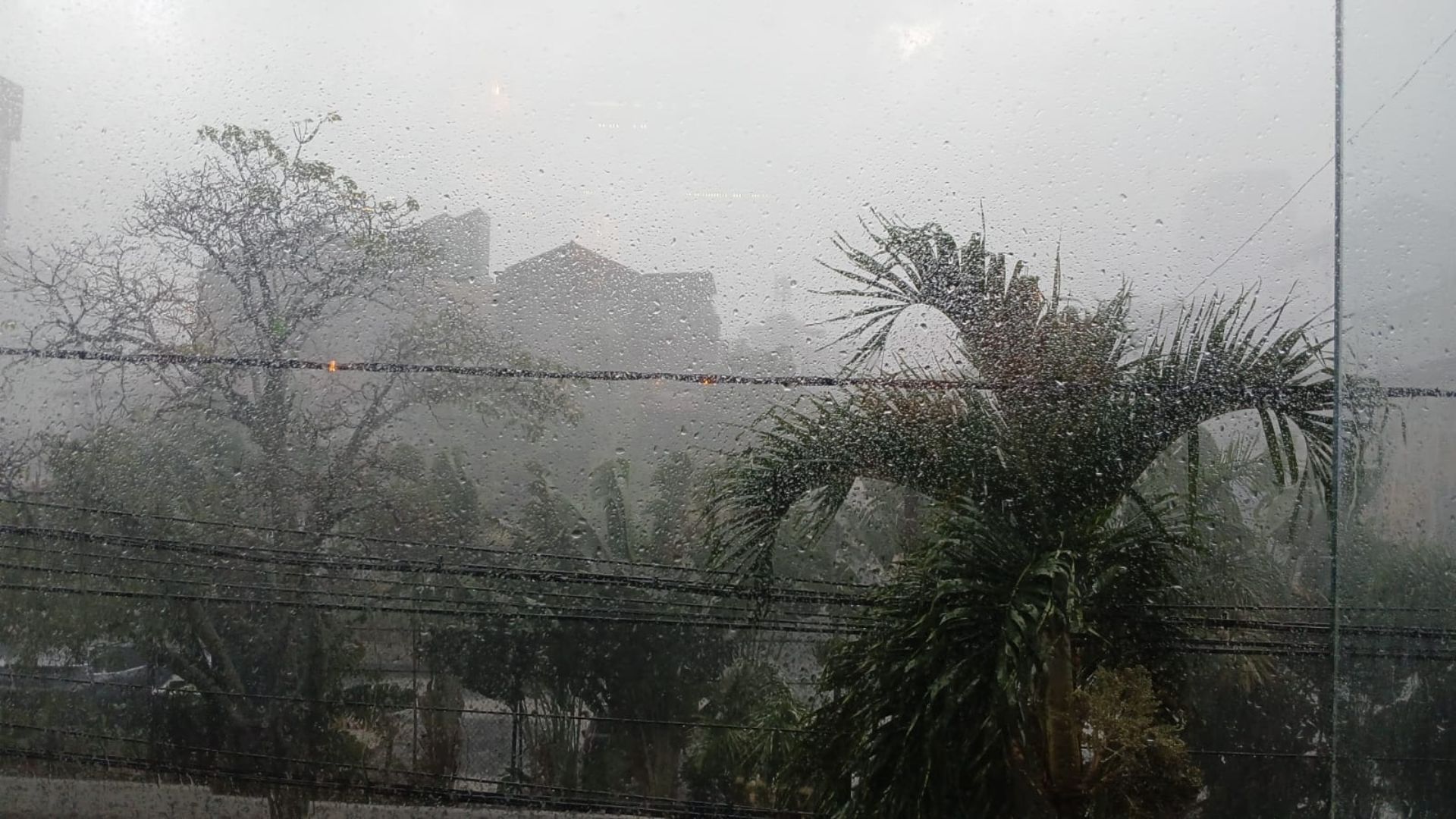 Inundaciones y caída de árboles en Bogotá por las lluvias.