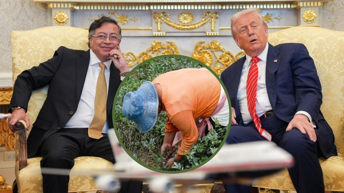 reunion petro trump gobierno cambiara su politica antidrogas plan de erradicacion