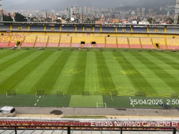 El estado de la grama de El Campín luego del concierto de System Of A Down.