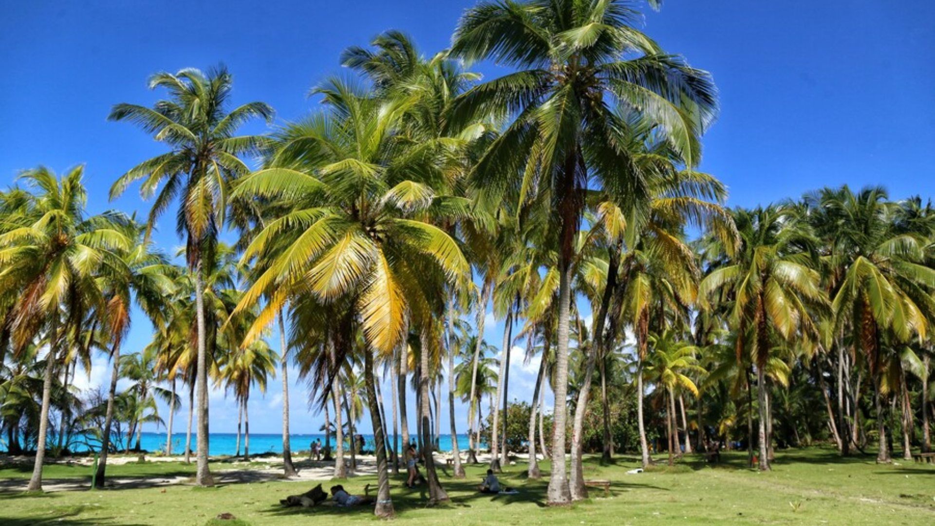 El aumento del precio de la tarjeta de turismo se hace con base a la Unidad de Valor Tributario definida.