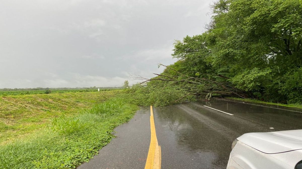 Vías tapadas lluvias Tolima