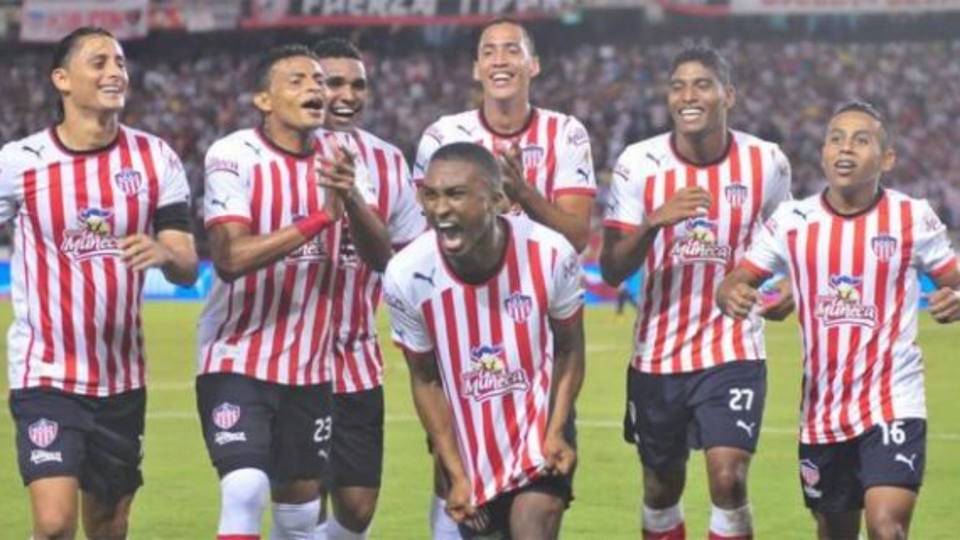 Junior de Barranquilla (2013)