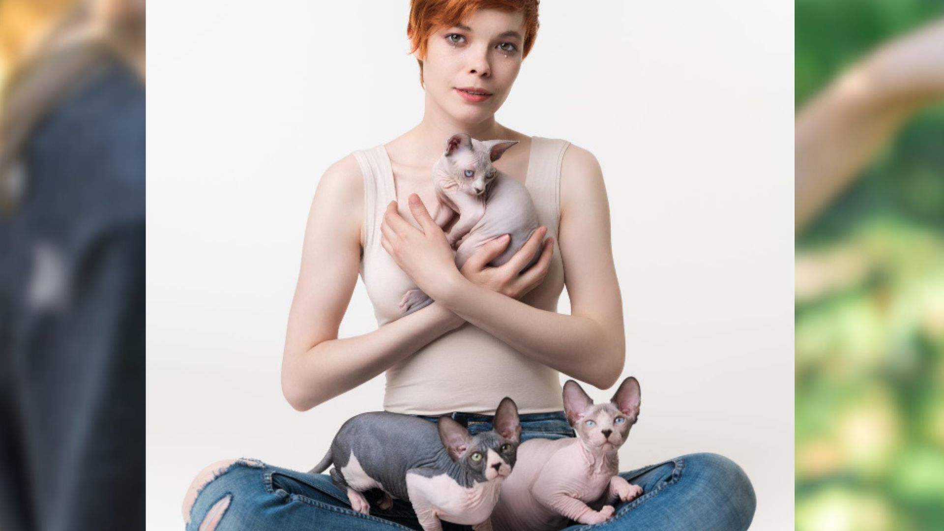 La psicóloga clínica Sofía Arévalo explicó cómo se interpreta la identificación con animales desde la funcionalidad cotidiana.