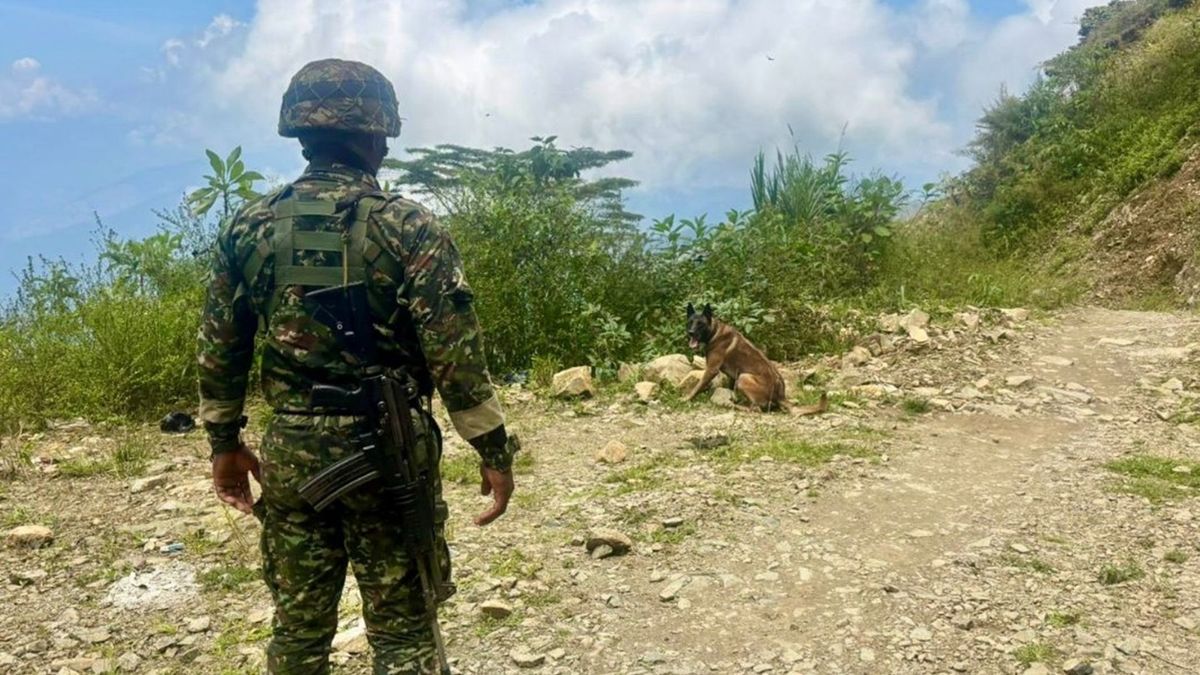 Explosivos - Antioquia - 2026