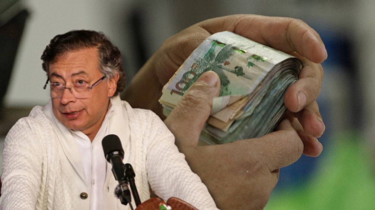 El economista analizó el efecto jurídico y político de la suspensión del decreto del salario mínimo.