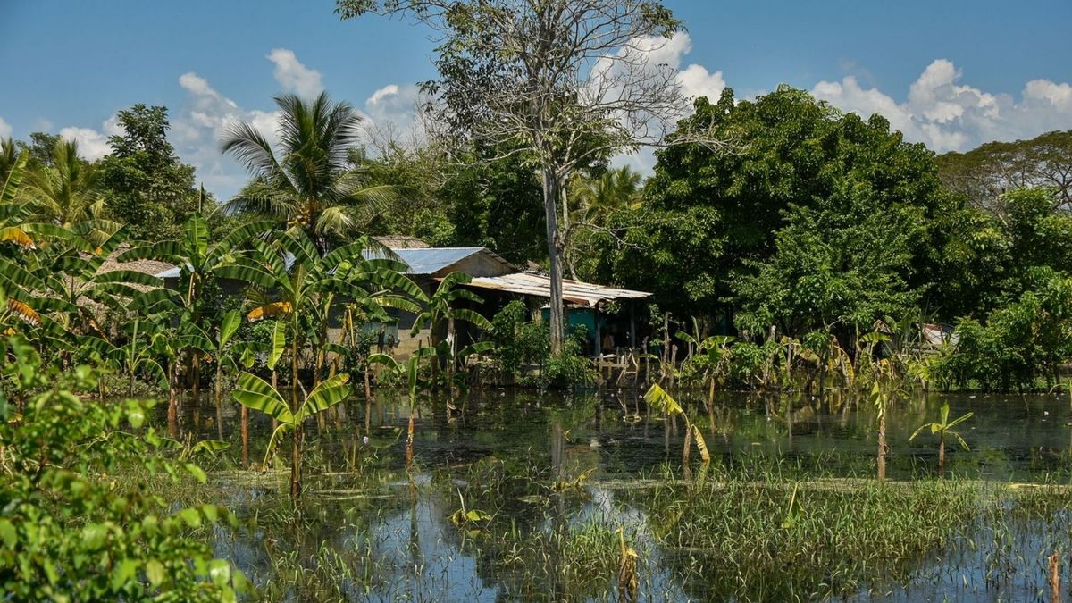 Uno de los municipios más afectados por las inundaciones es Lorica. La Procuraduría y las autoridades electorales revisarán si es necesario mover puestos de votación.