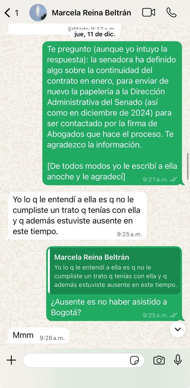 Chats caso Berenice Bedoya